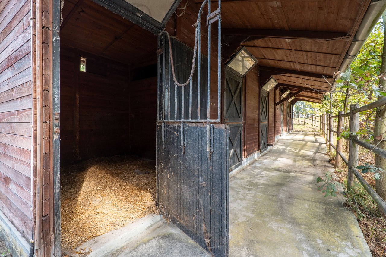 Equestrian Estate in Lavra with 13,000 m² just 800 Meters from the Beach