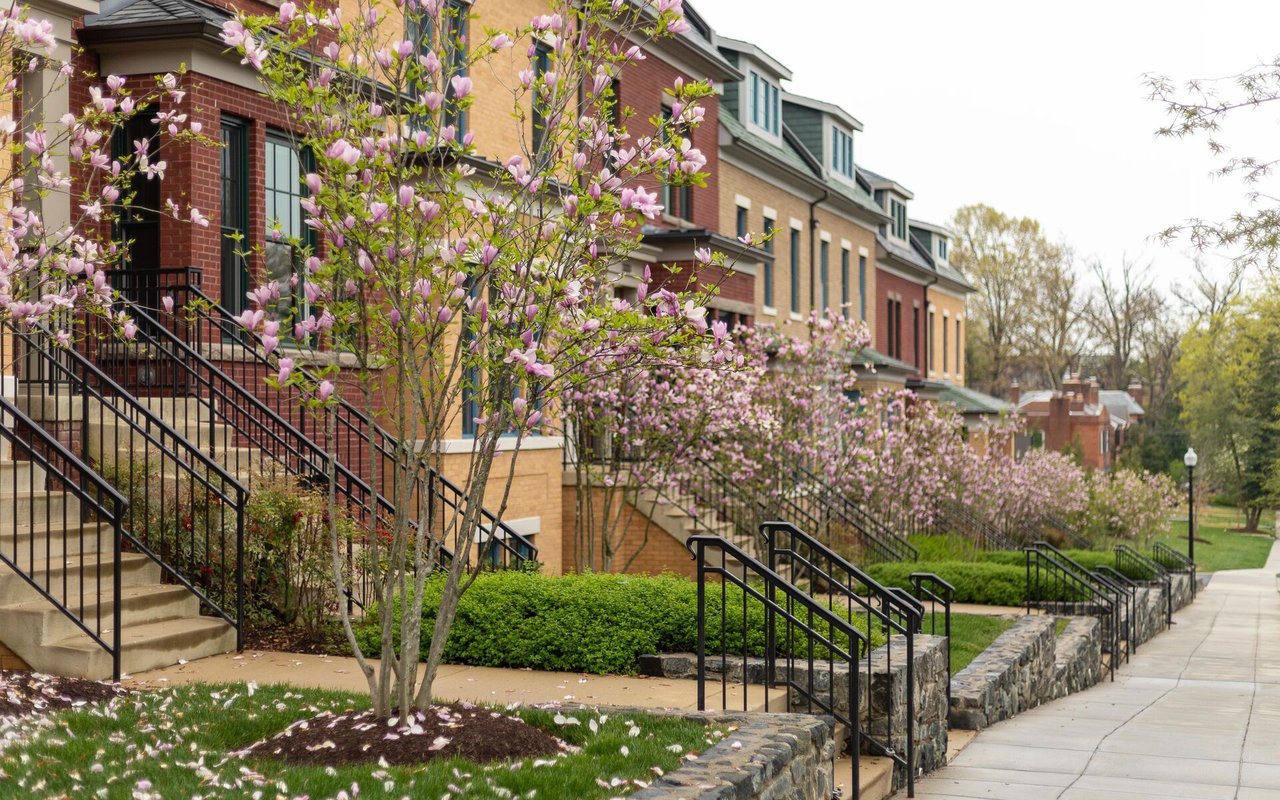 Spring Valley