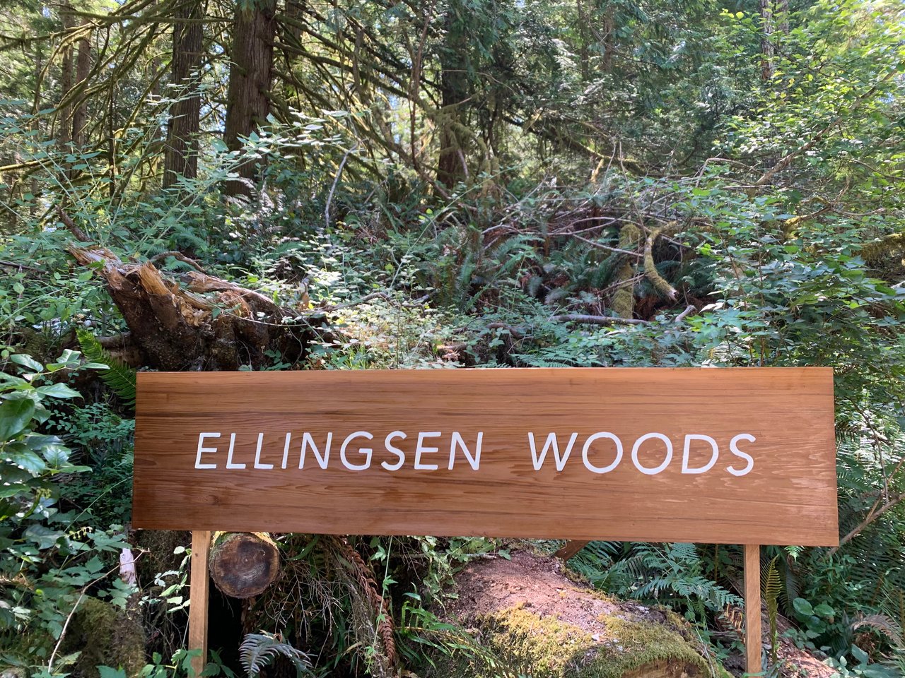 Recap of Ellingsen Woods Summer 2025 Series