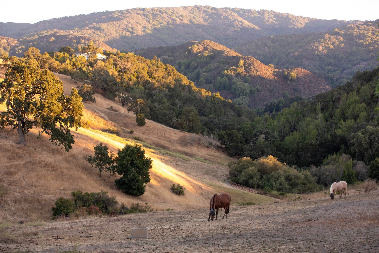 Greater Oakland-Berkeley Inner East Bay