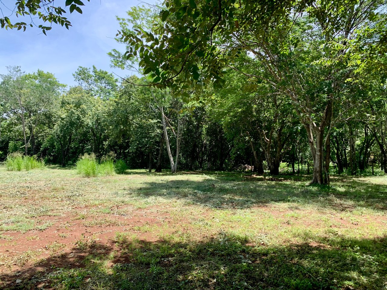 Hammock Plantación | Spacious Agricultural Land Near Playa Negra