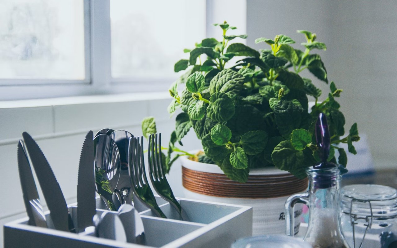 Benefits of Owning a Home with Natural Light