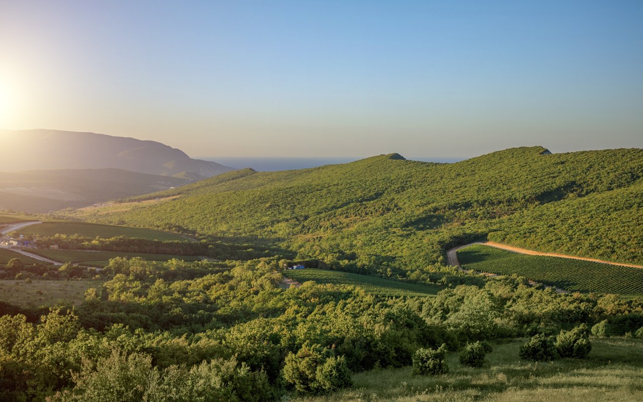 French Valley