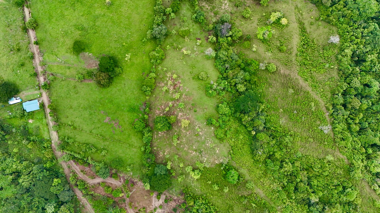 Ocean View Sanctuary in San Buenas – 4.94 Acres of Pastures & Easy Accessaccess