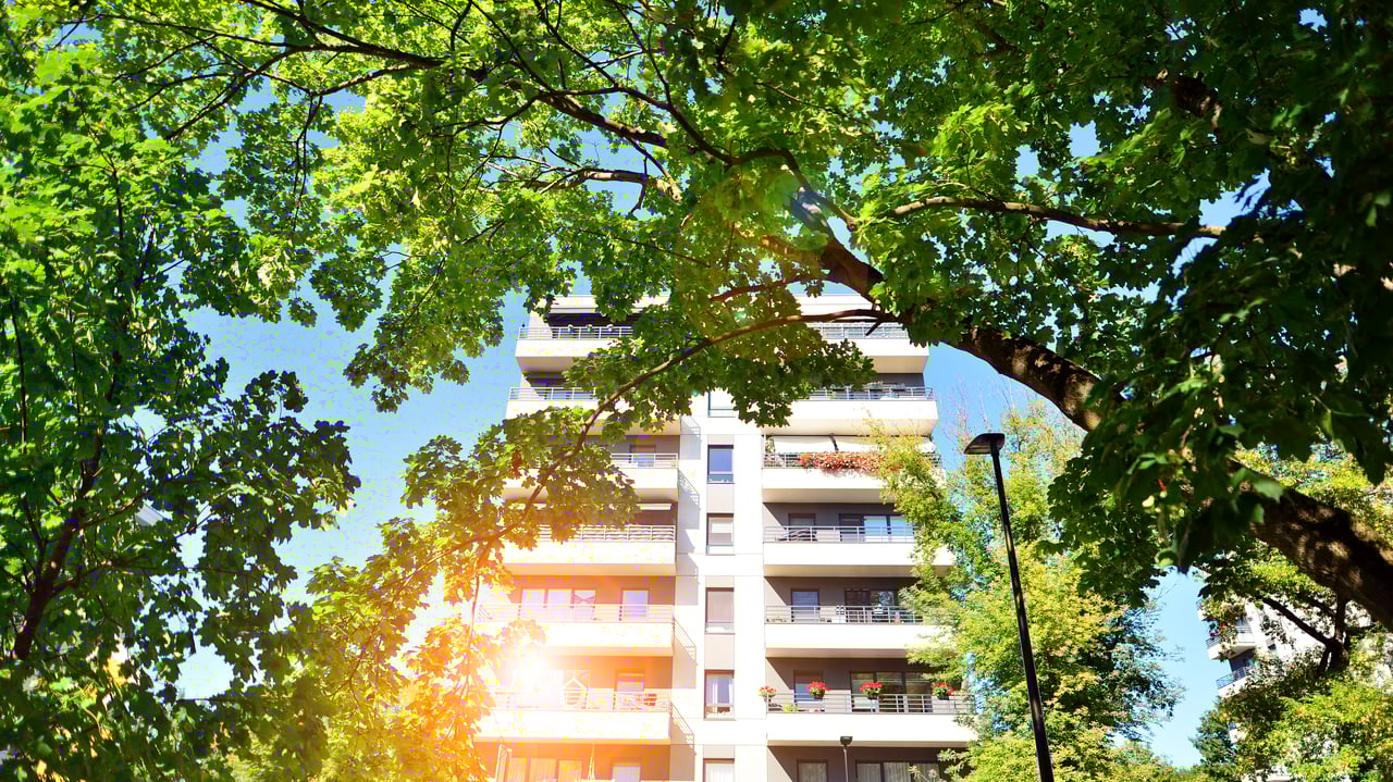 Modern mid-rise condo building in Houston partially framed by green trees and blue sky, symbolizing urban living with nature.