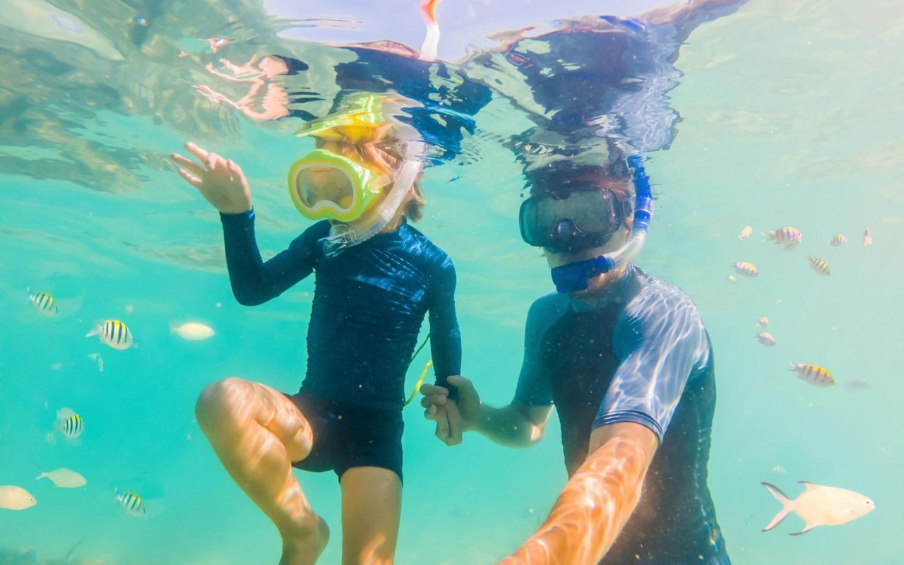 A Guide to Tortola Parks
