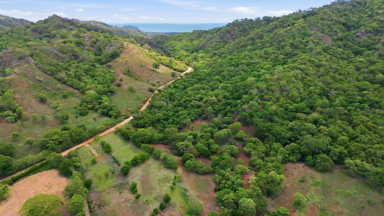 3.4 Acres of Quiet Country Living | 12 minutes from the Beach - Tempate 