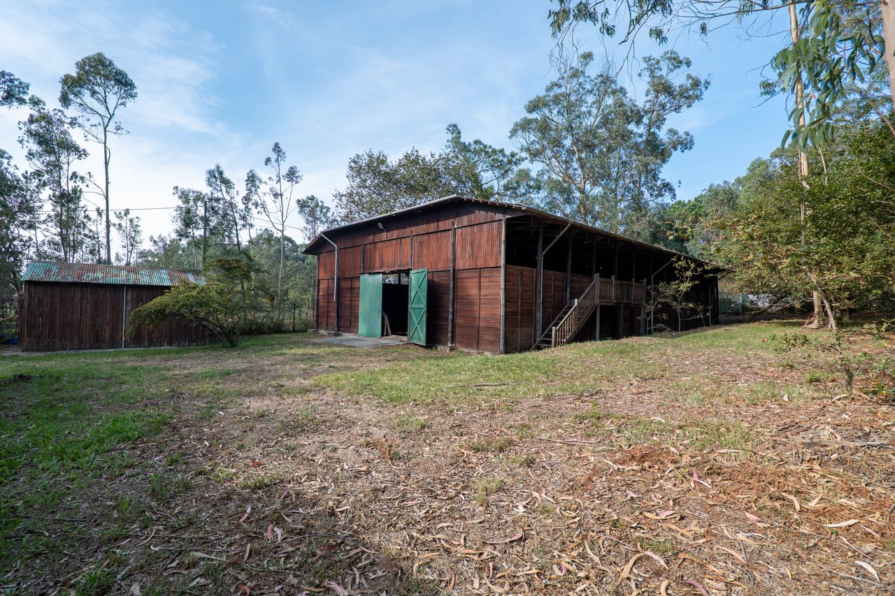 Equestrian Estate in Lavra with 13,000 m² just 800 Meters from the Beach