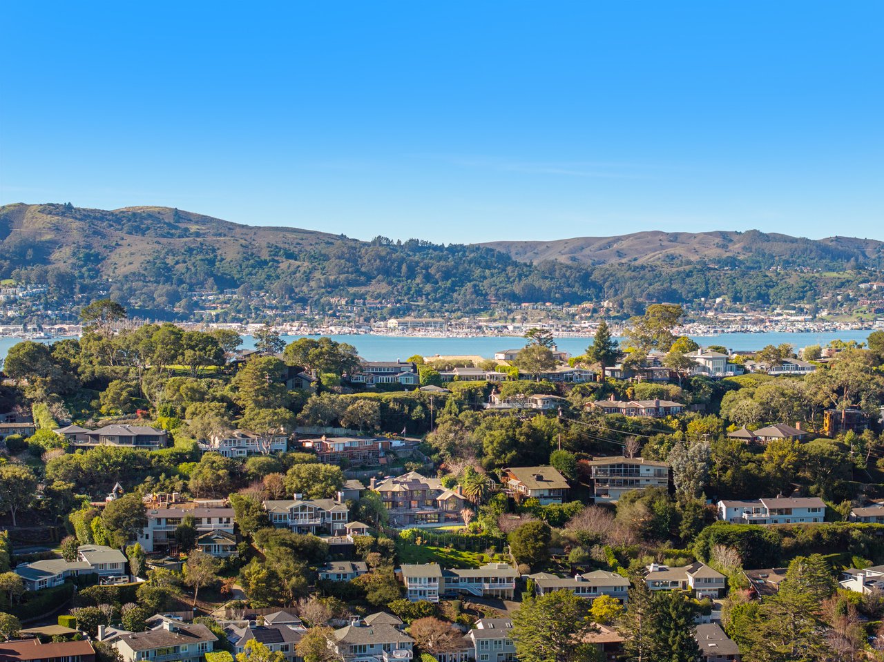 Stylish and Renovated Belvedere Beauty