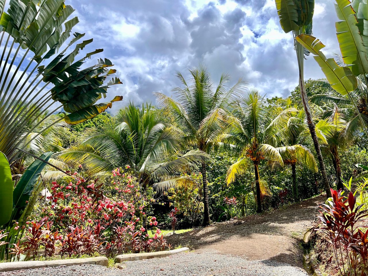 Peaceful 2-Bedroom Home in a Lush Garden in Ojochal