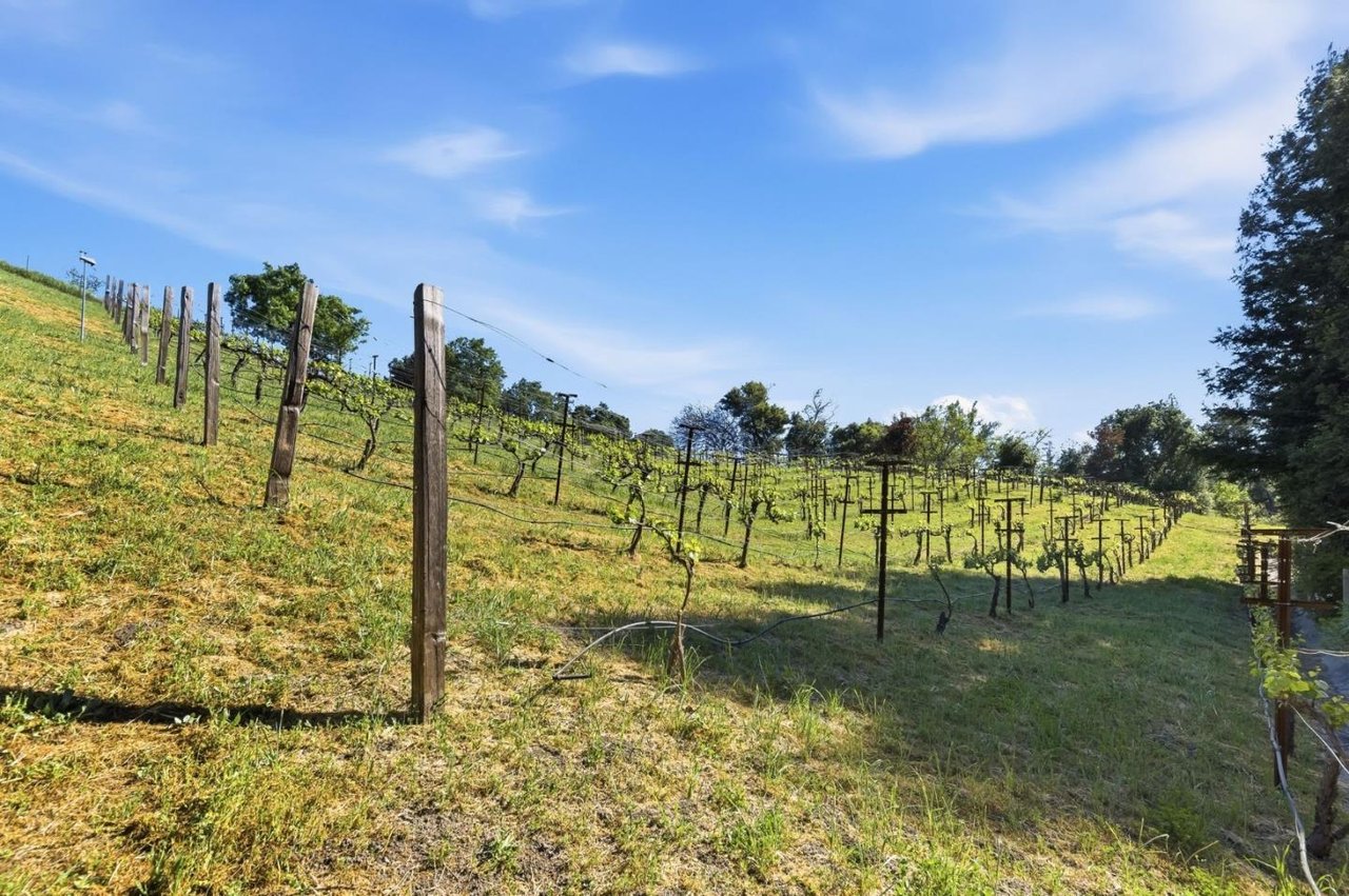 14170 Baleri Ranch Road