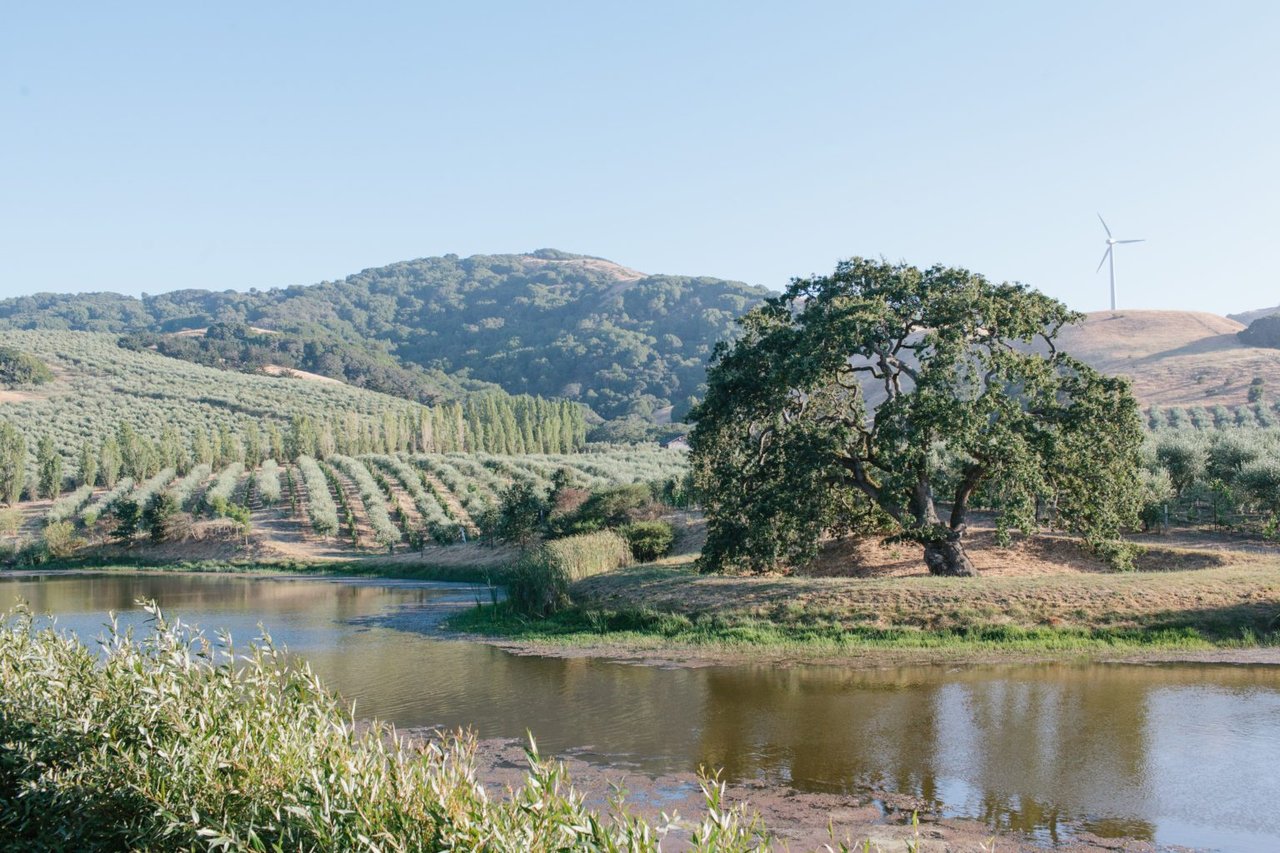 15 Sonoma Wineries With Gorgeous Gardens
