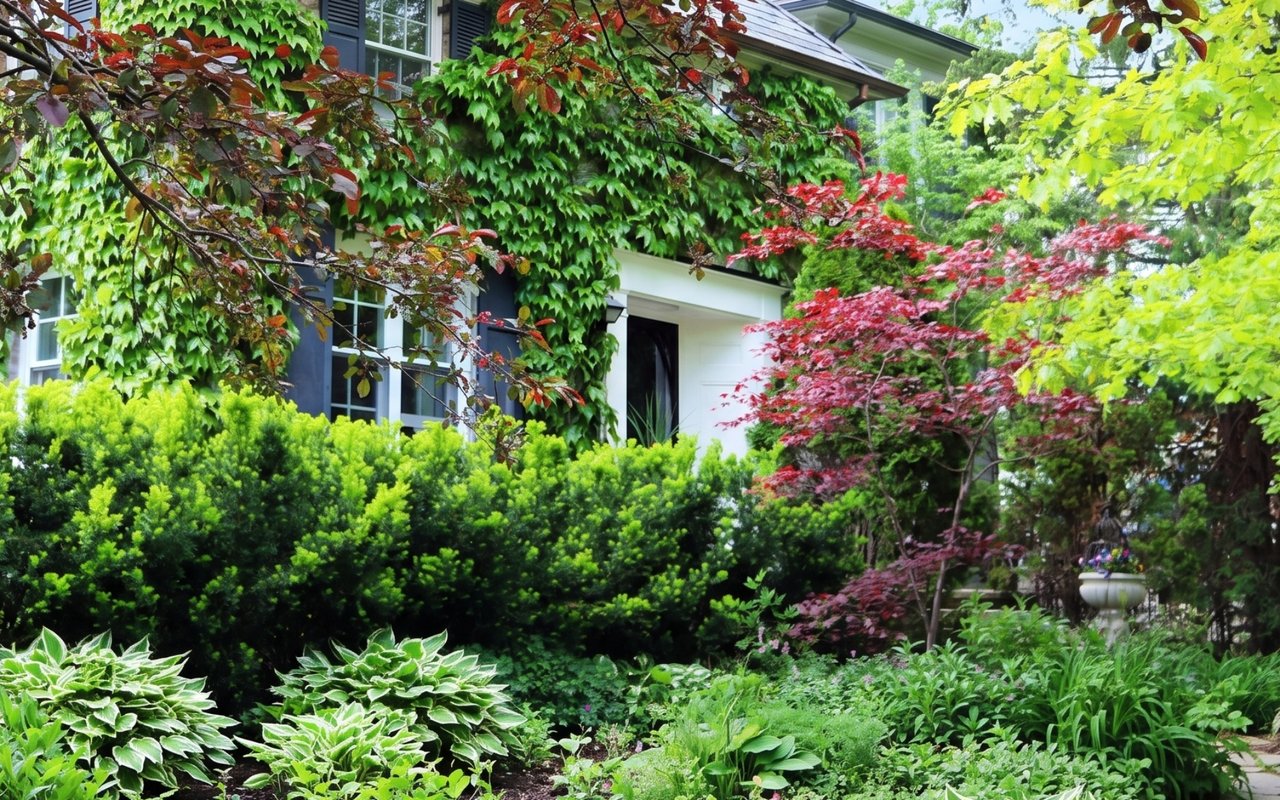 Spring Landscaping Tips