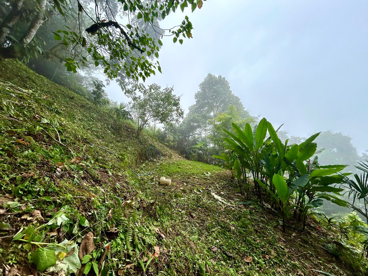 The Last of Its Kind Property in San Luis de Morete, Over 1.53 Acres