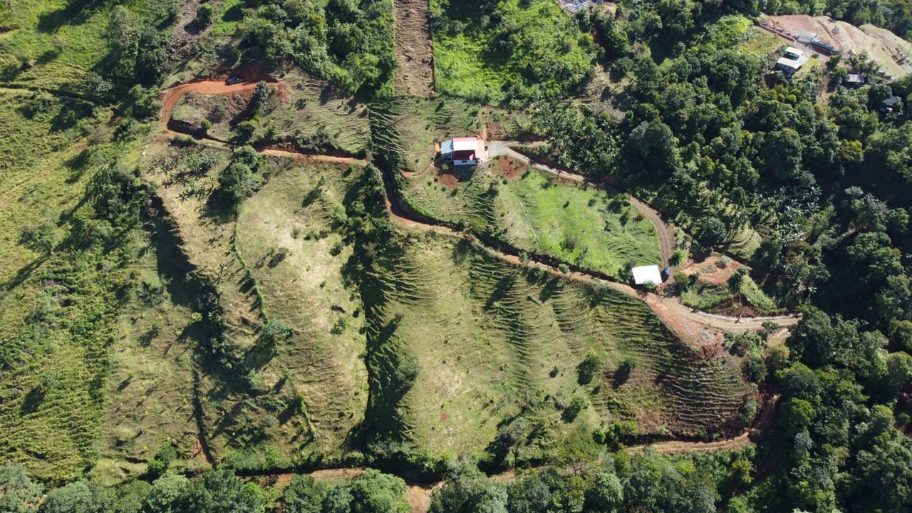 Sustainable Organic Farmstead, Perez Zeledon, San Jose