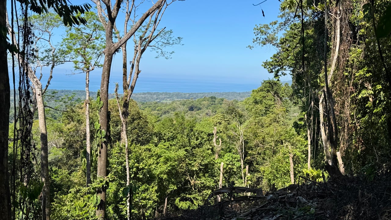 Unique Opportunity, Panoramic Ocean Views of the Whale's Tail Beach!