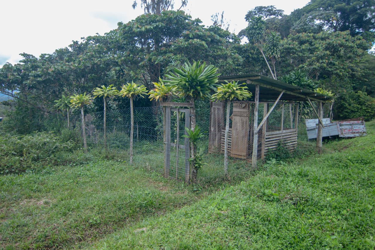 Sustainable Sanctuary: Wooden Farm House, 3 Acres + Food Forest