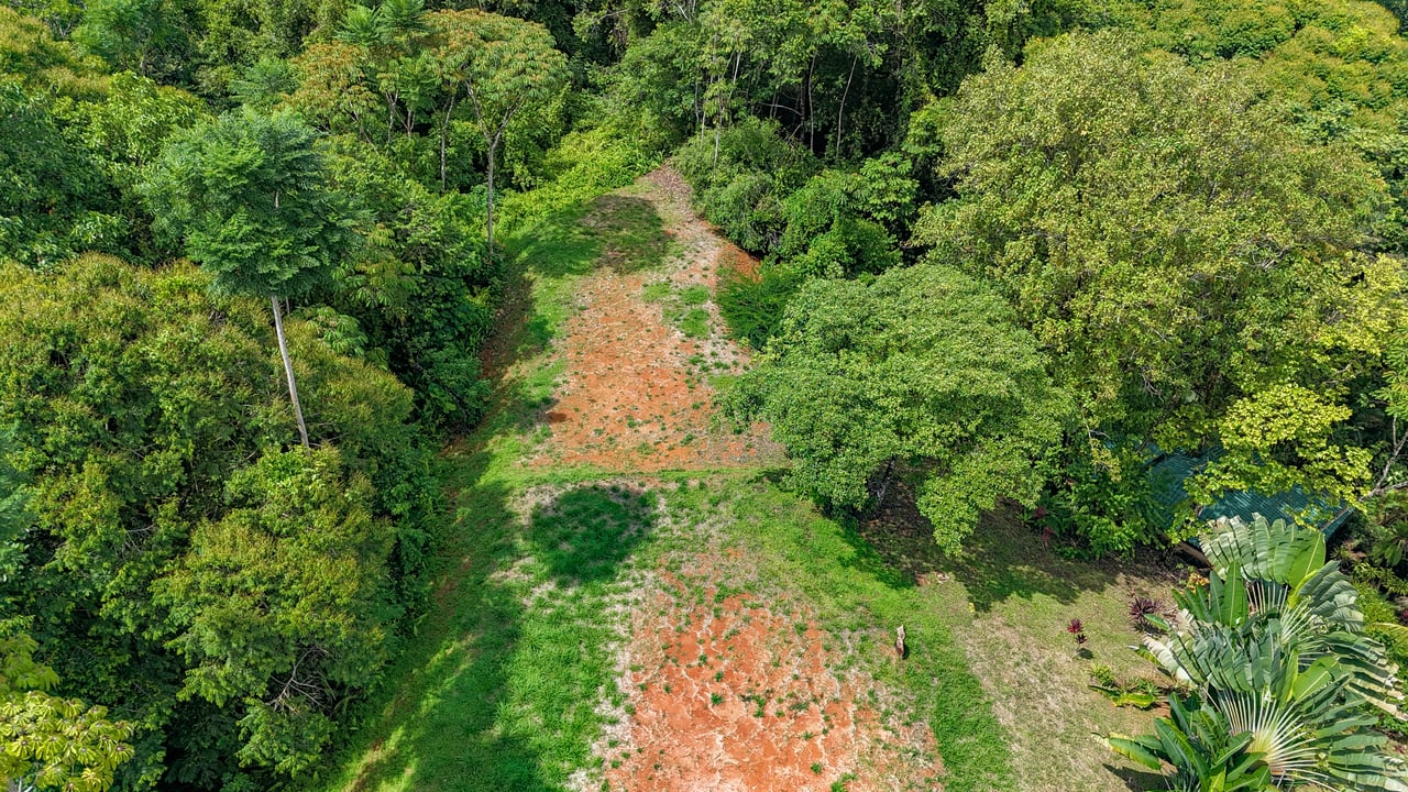 Ojochal Property for Sale – Cabins, Restaurant & 3-Bed Home