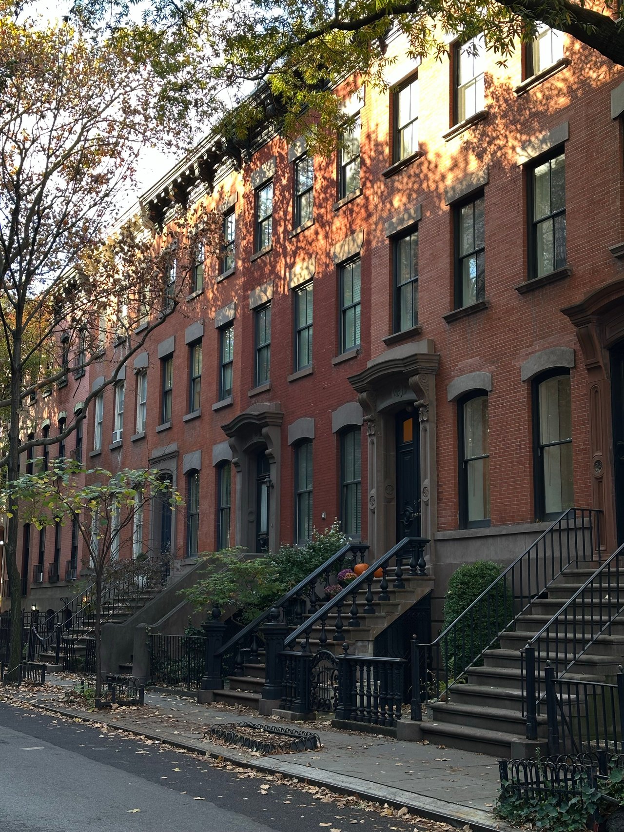 Historic brownstones, townhouses, and multifamily homes along Halsey Street in Bedford-Stuyvesant, Brooklyn.