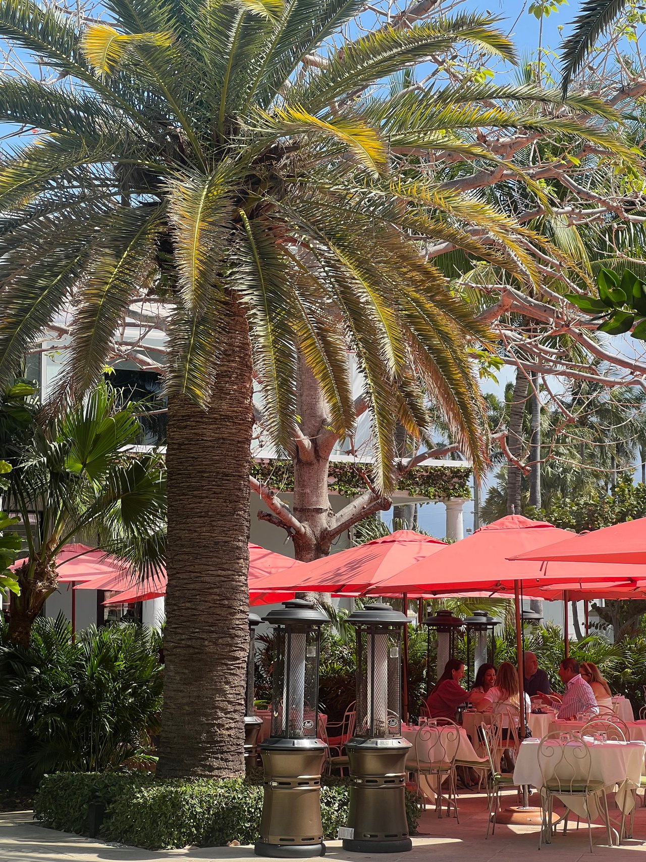 Where To Dine In Palm Beach, FL This Summer | Best Restaurants In Palm Beach