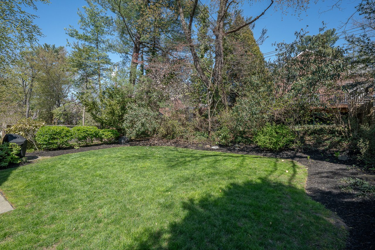 Merion Park Beauty! 
