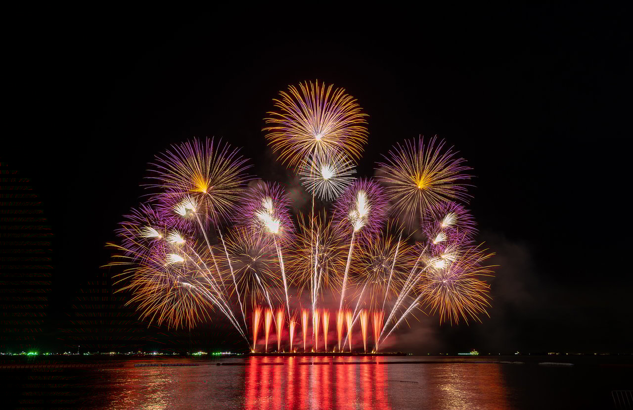 3 Tips to Keep Your Dog Safe This Independence Day