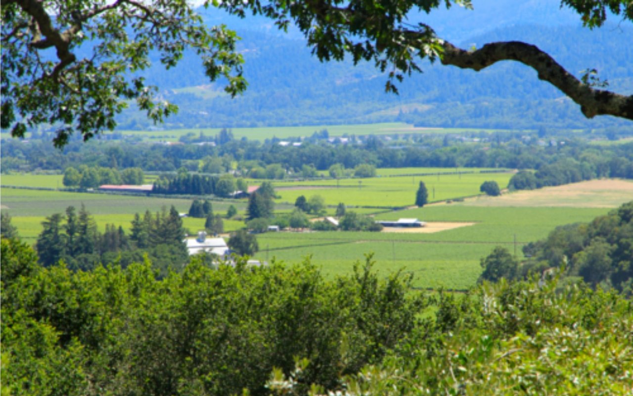 Santa Rosa
