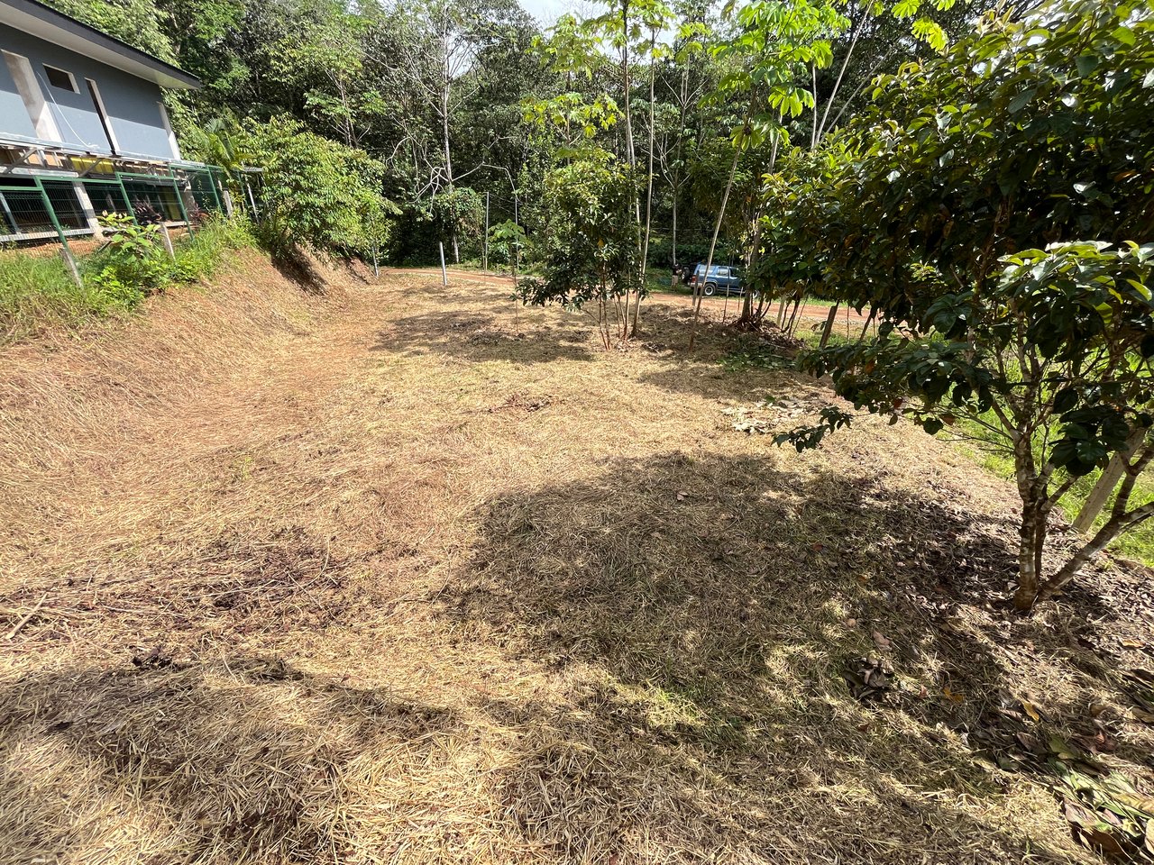 Affordable Uvita Lot UNDER $200-per-sqm - Perfect for Your Dream Home or Airbnb Investment