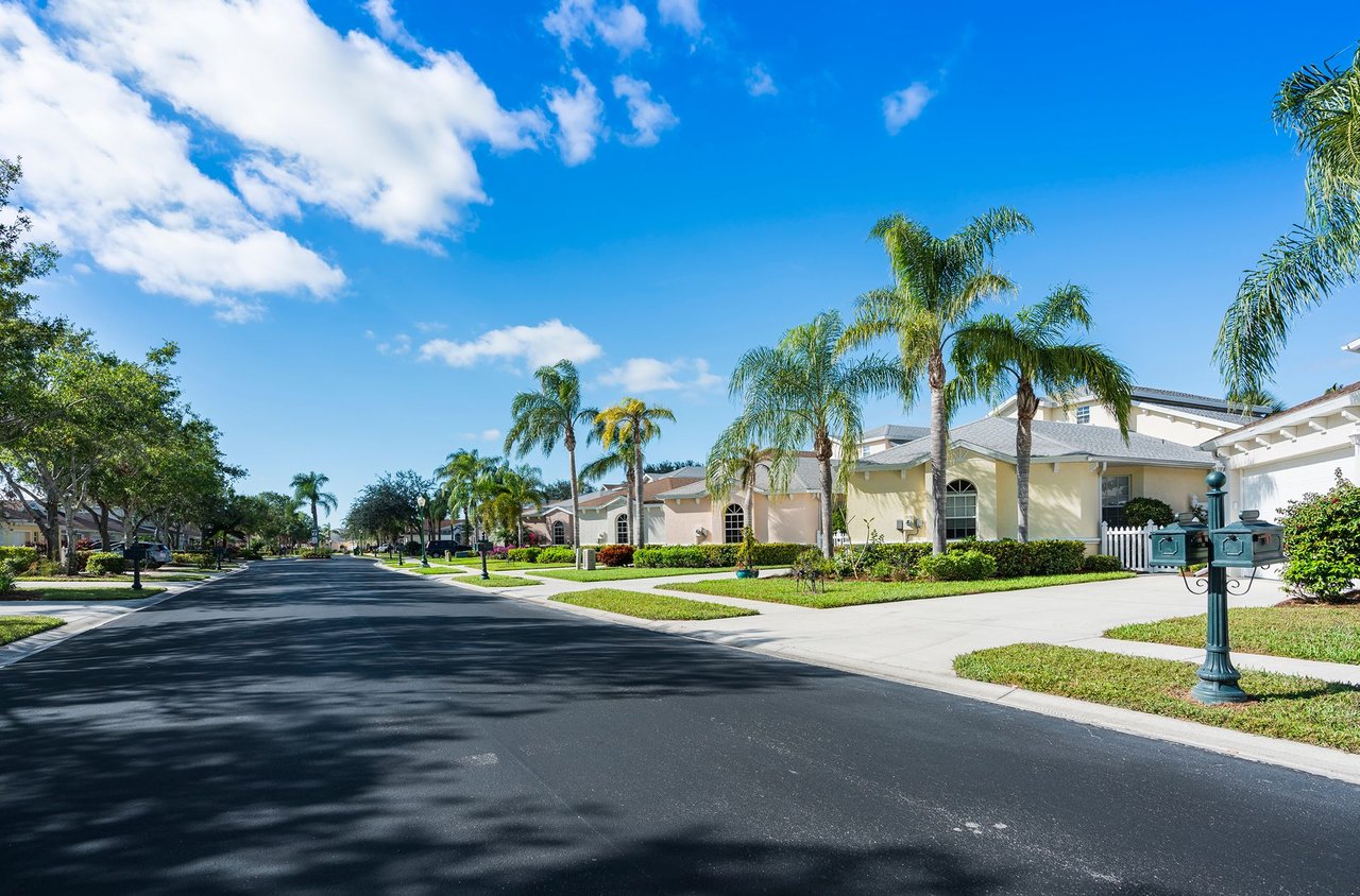 Palm-lined residential street with single-family homes in New Tampa, Florida.