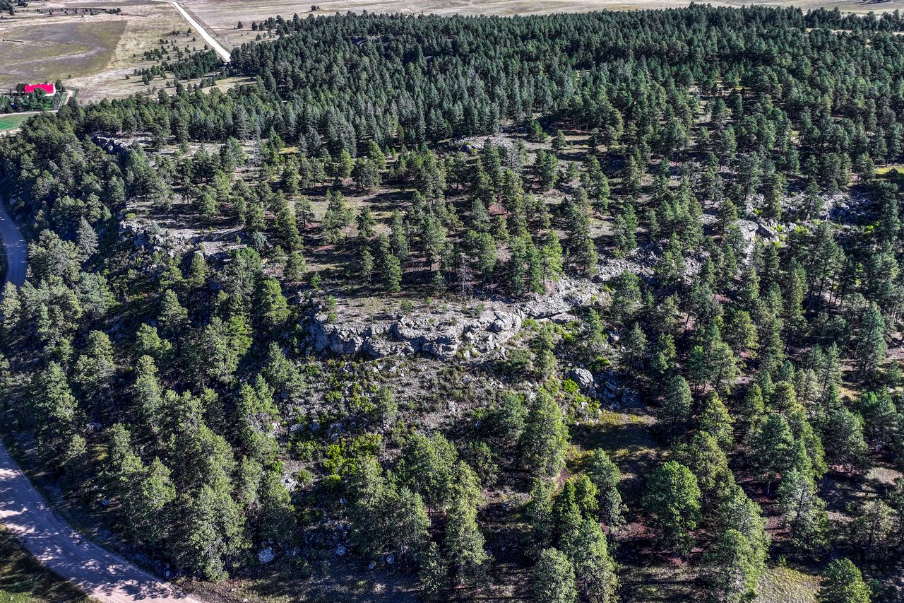 19100 County Road 17