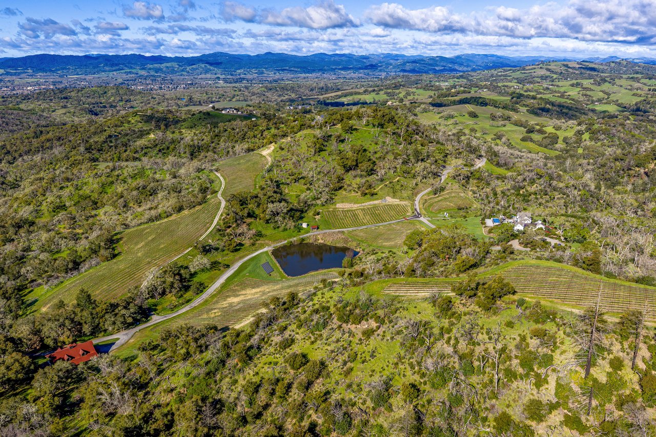 The Clearview Estate