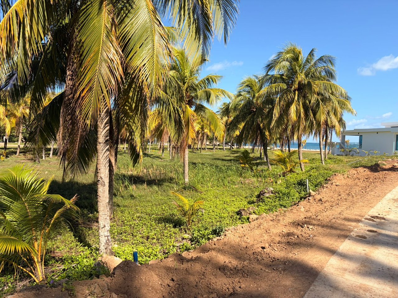 Beachfront Lot Diamond Beach