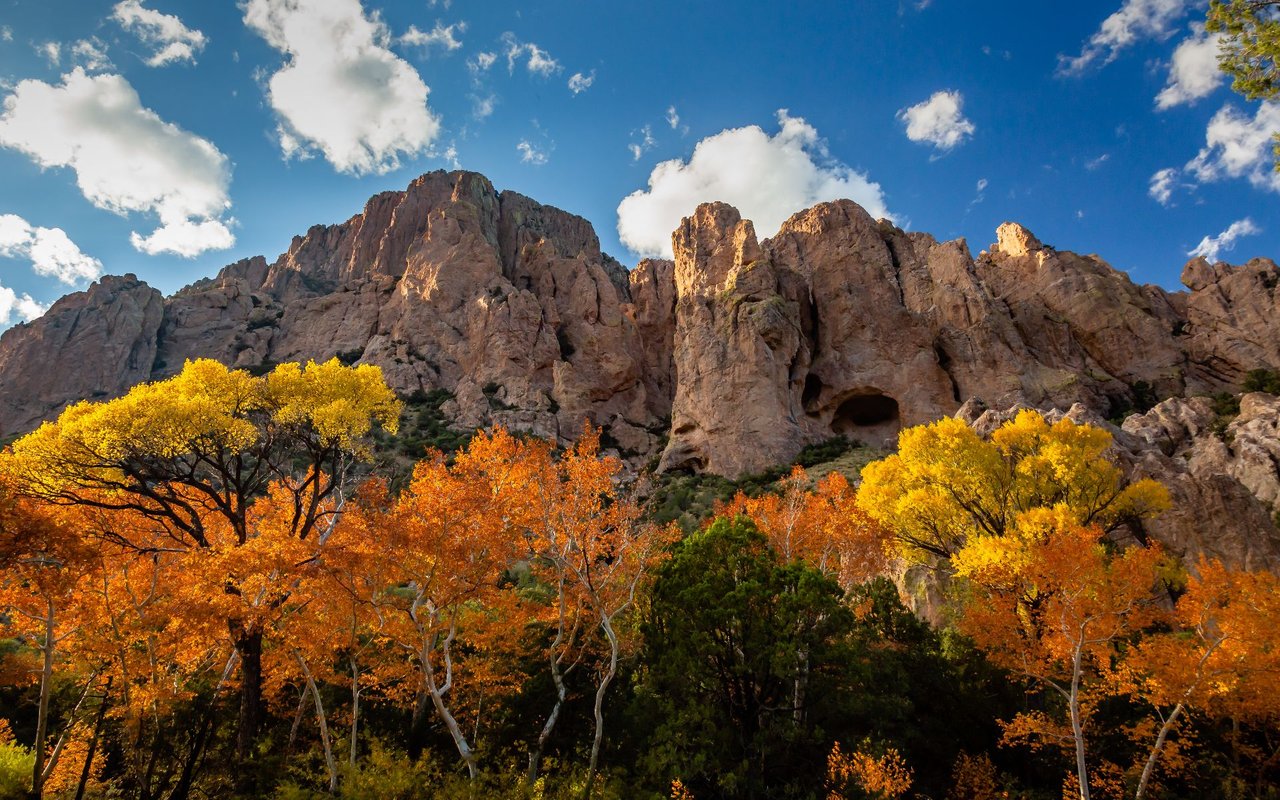 Cave Creek