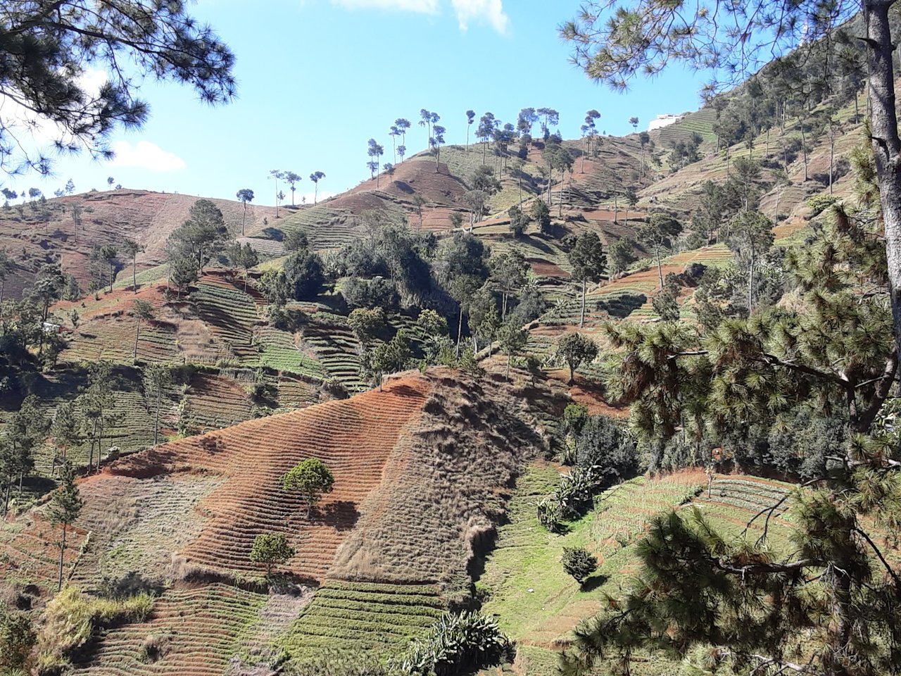 13.48 Acres (approx) of Prime Mountain Land in Morne Obleon (Furcy), Haiti