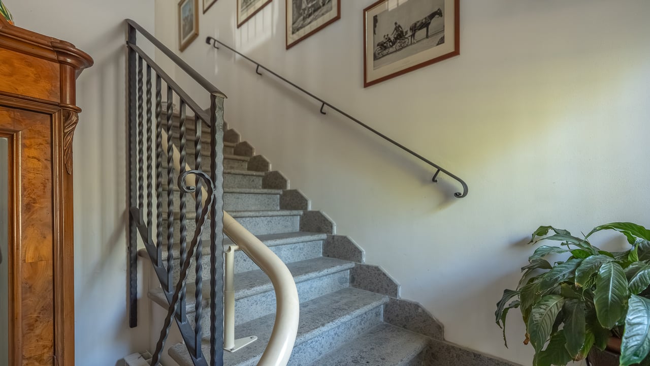 IL LEONE DEL FIORA