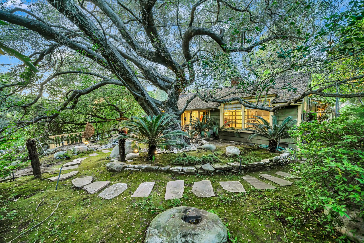 The Treehouse 🌳