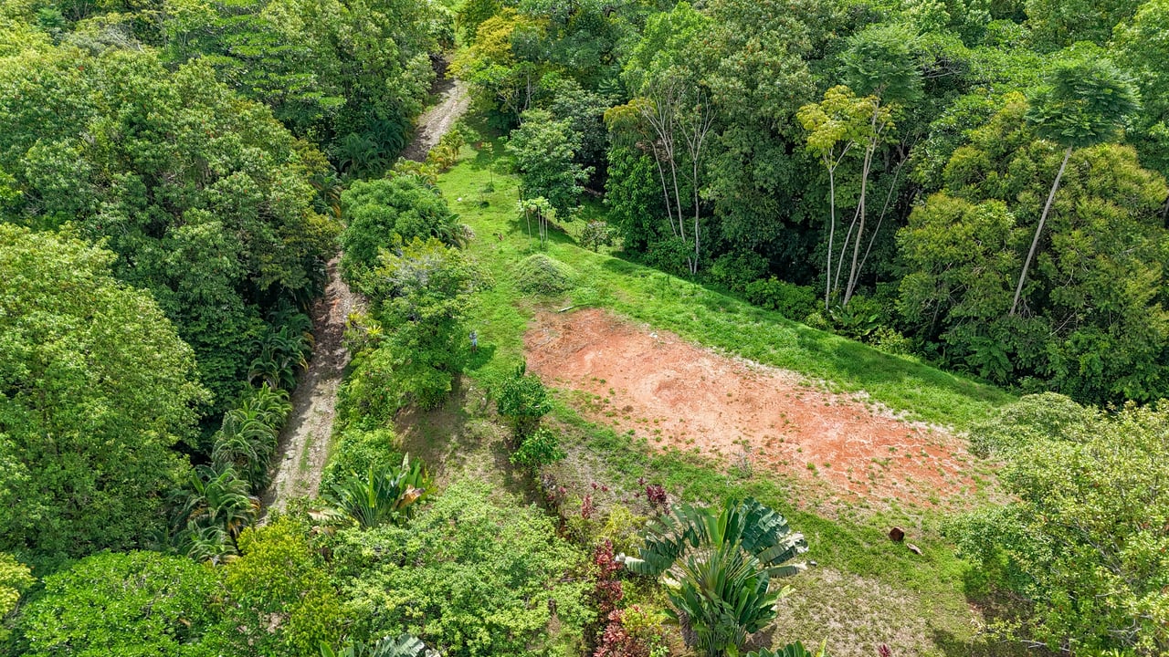 Ojochal Property for Sale – Cabins, Restaurant & 3-Bed Home