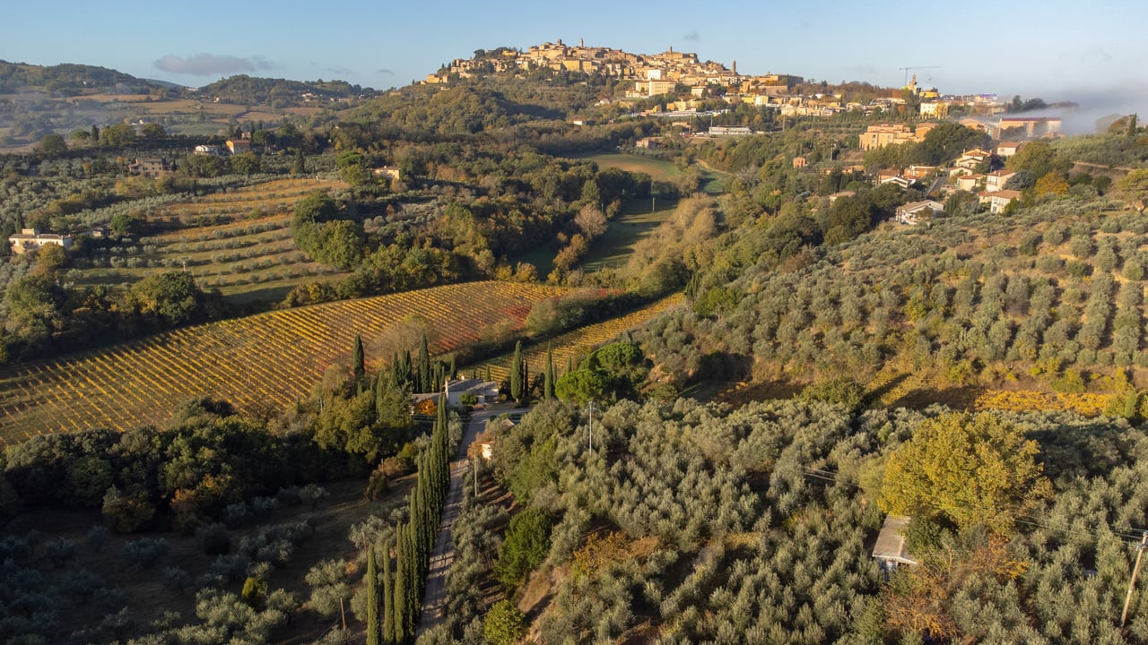 L'ETRUSCA