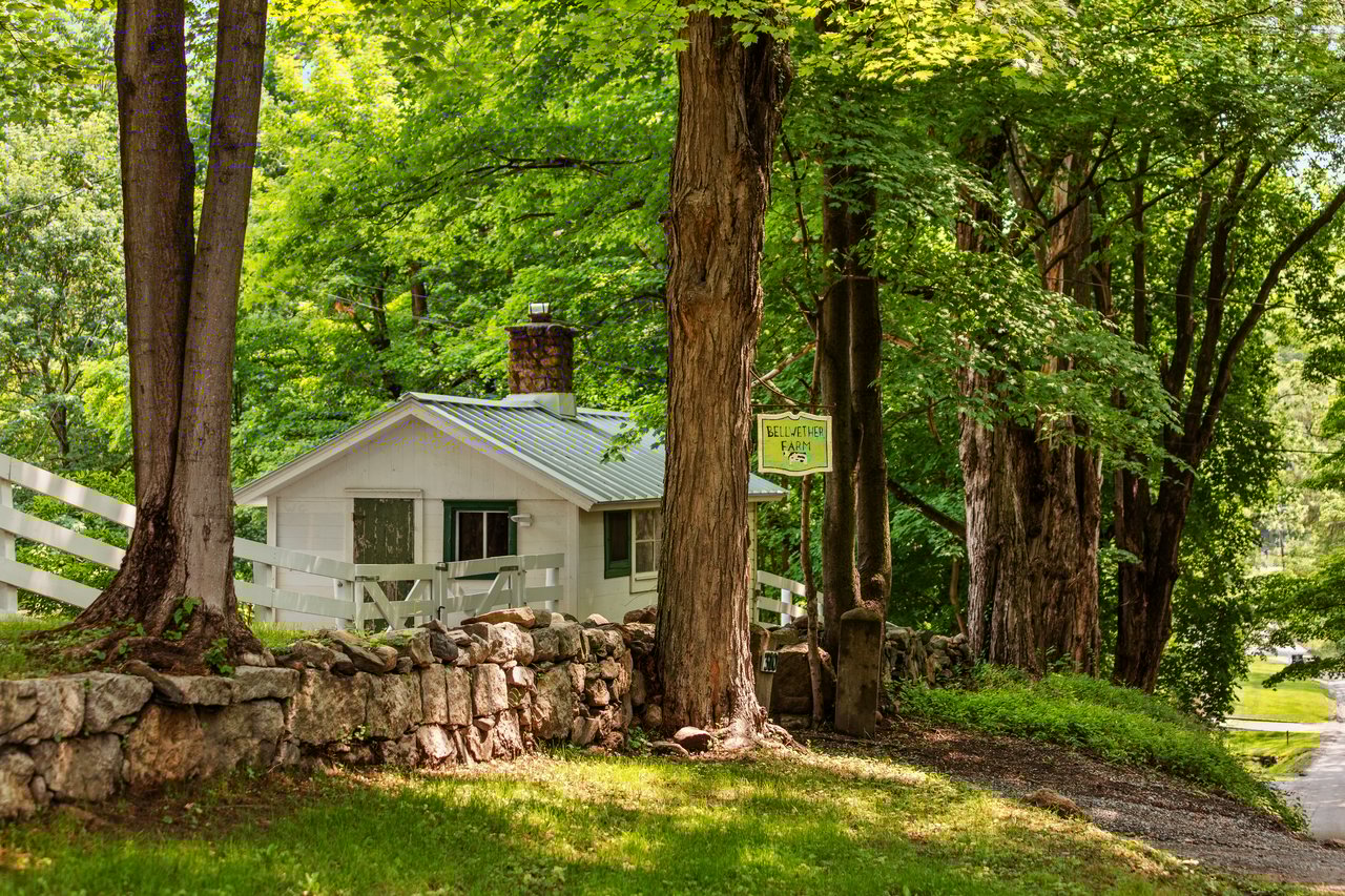 Bellwether Farm
