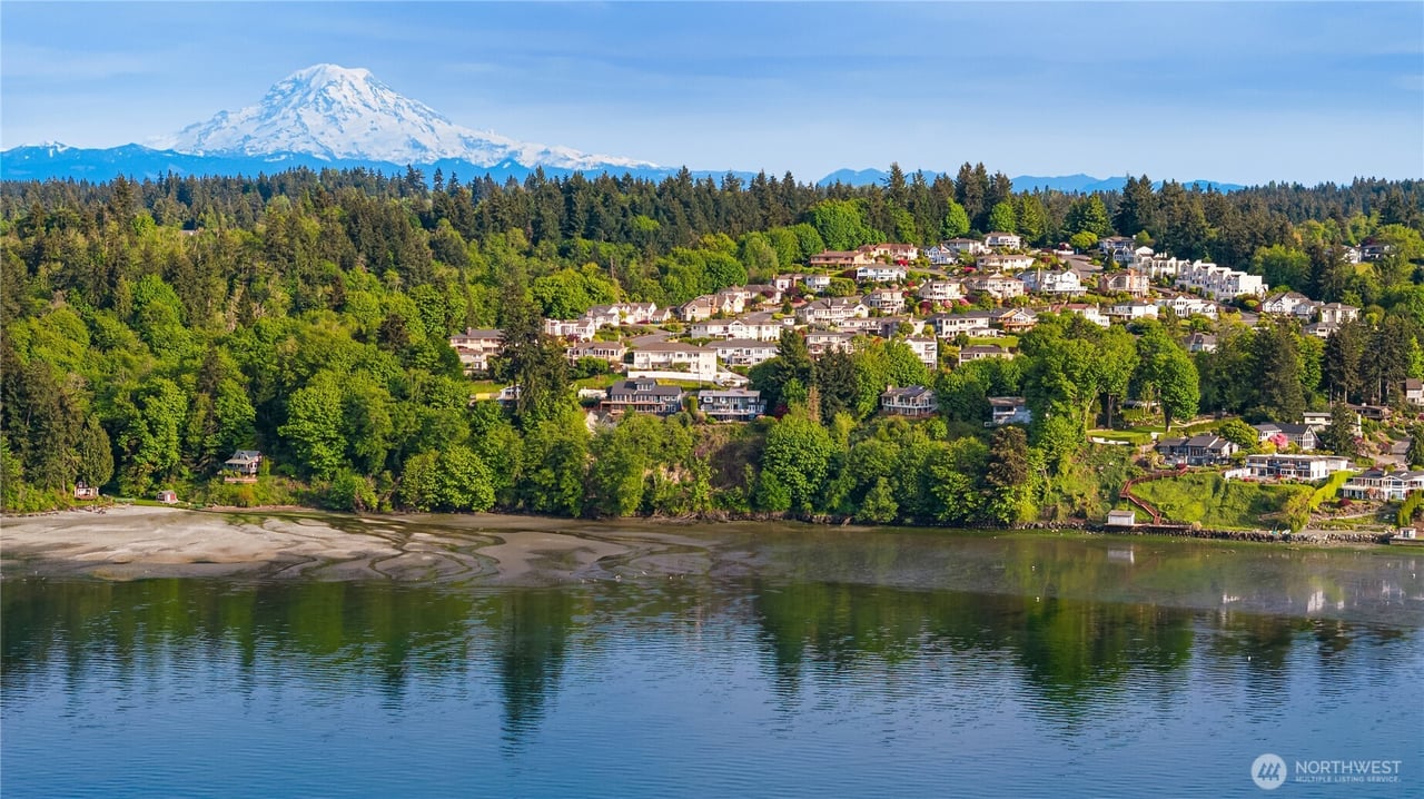 Dash Point
