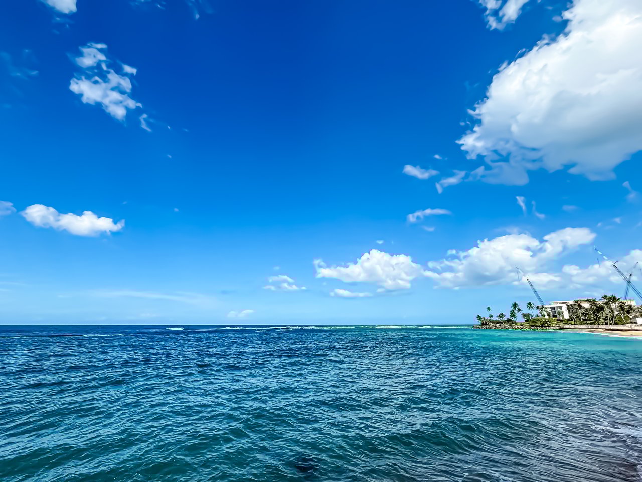 Dorado Reef C10