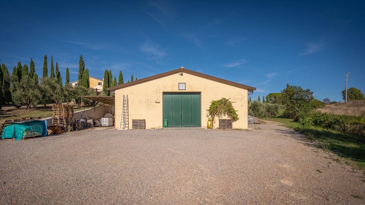IL LEONE DEL FIORA