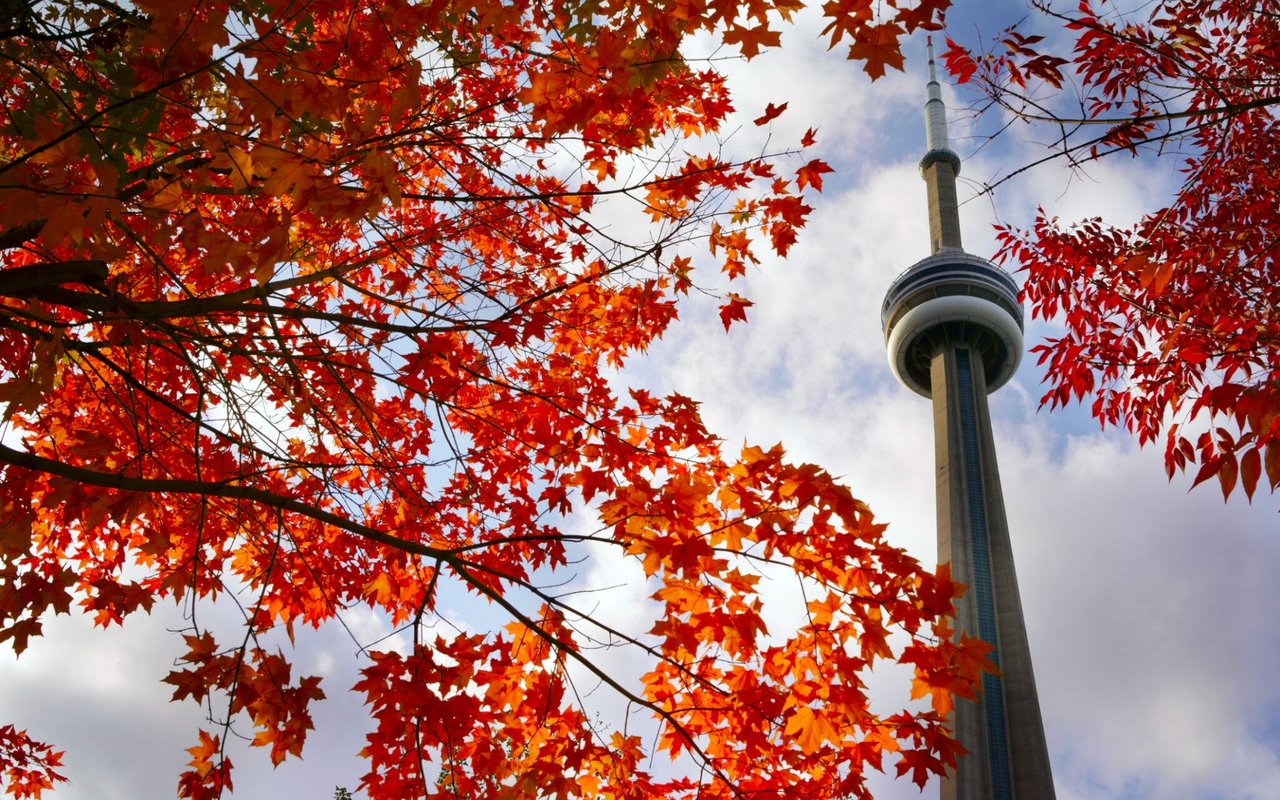 Neighbourhoods with the Best Autumn Walks