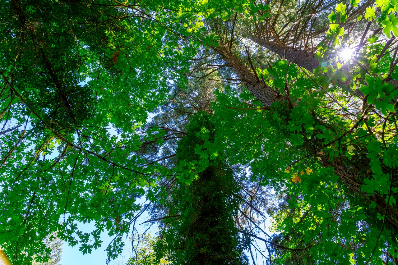 London Grove Riverfront