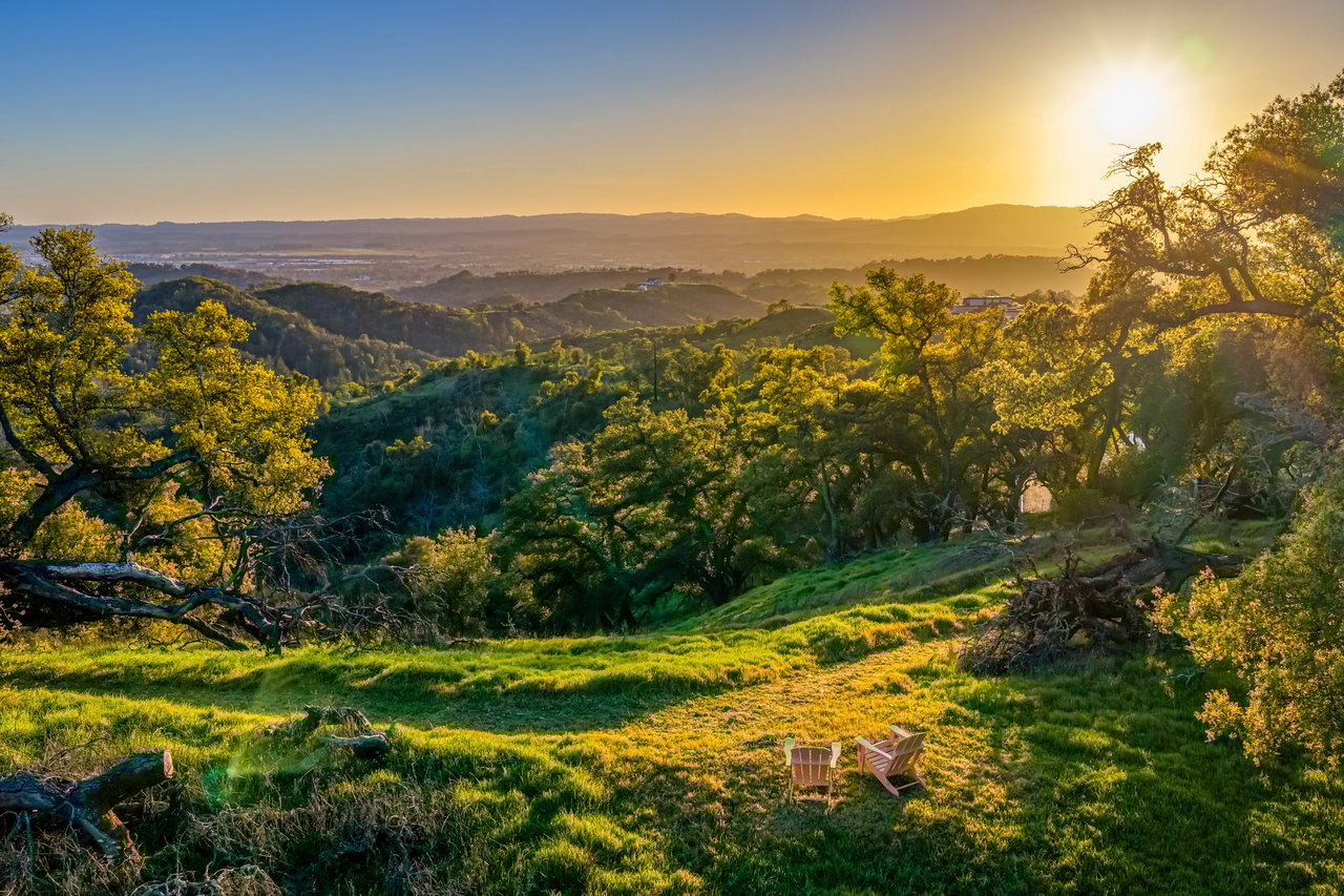 The Clearview Estate