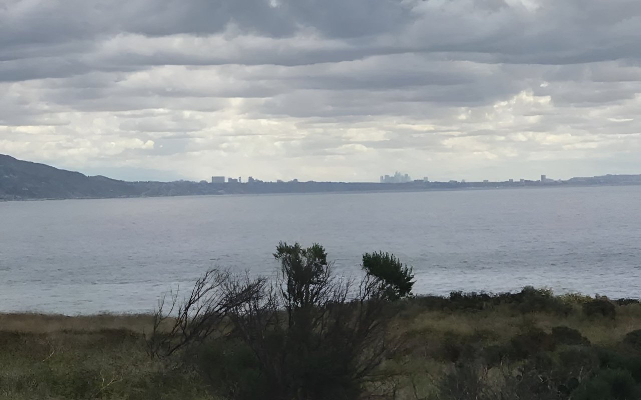 Santa Monica Bay from Point Dume, with coastal scrub in the foreground and a distant shoreline.