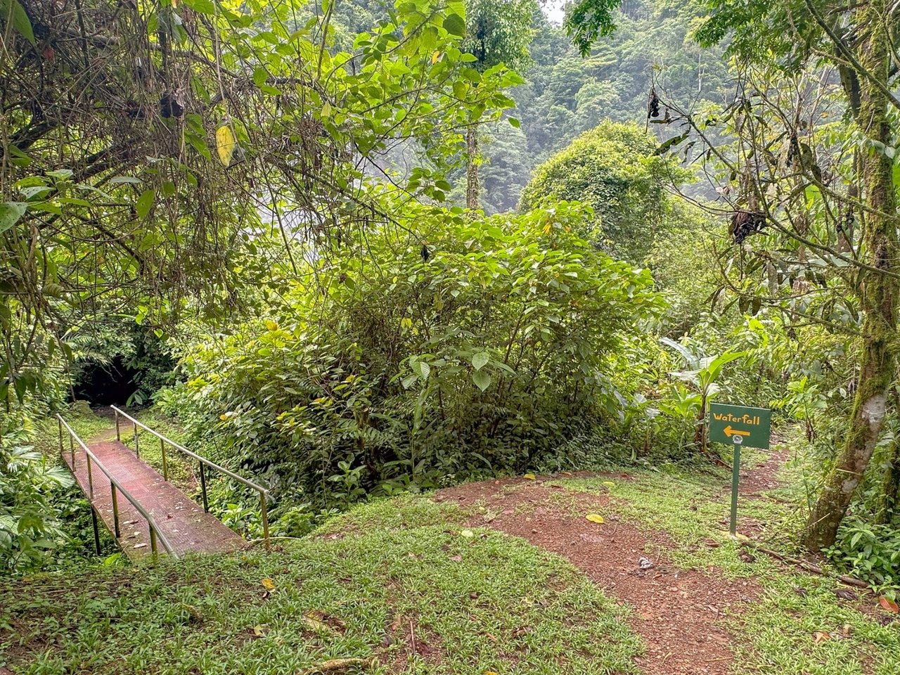 Waterfall Eco Resort Land, Dominical, Puntarenas