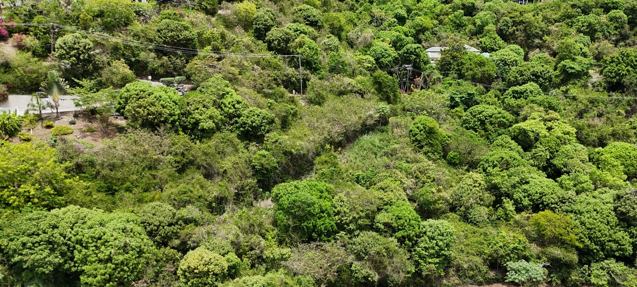 Belmont Estate 403 & 404