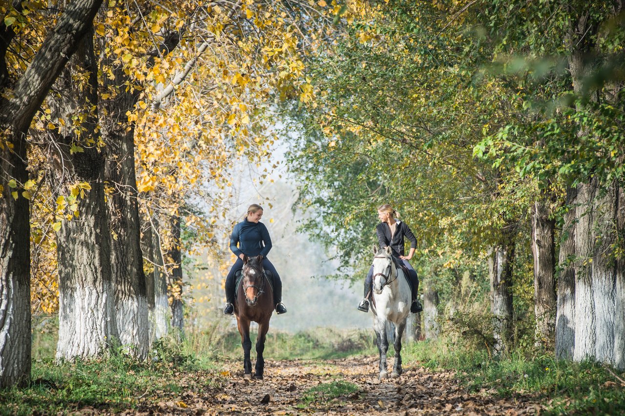 Why Move to Litchfield County, CT 