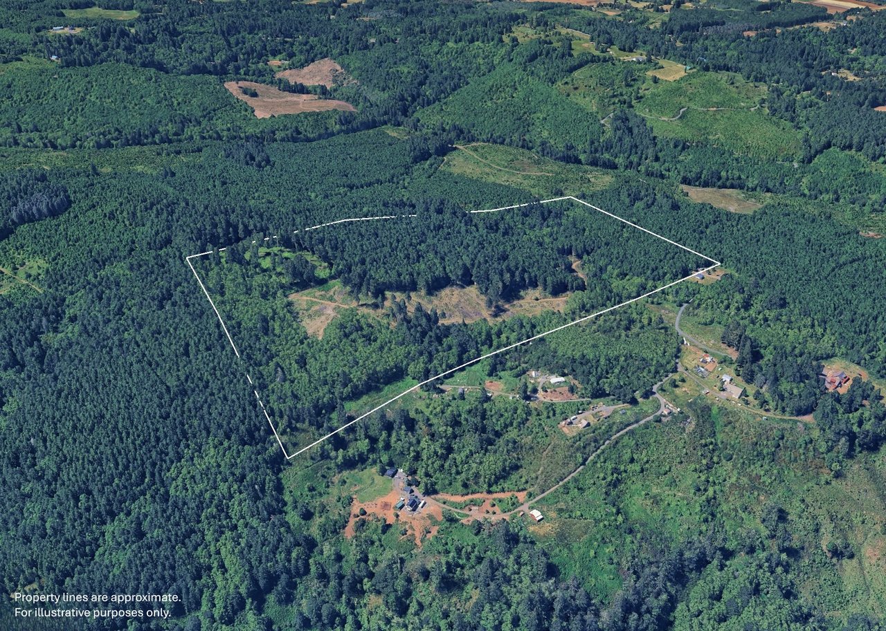 Marion Woods - Auction